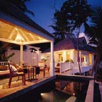 Banyan Tree