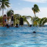 Viva Dominicus Palace