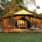 Elephant Pepper Camp