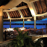 Royal Palm