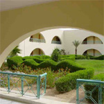 Desert Rose 5