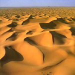 Al Maha Desert