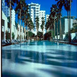 Delano Hotel Miami Beach