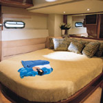 Sealine 5