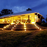 Serengeti Bushtops