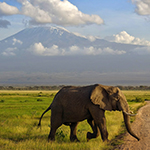 Sky Safary Kenya
