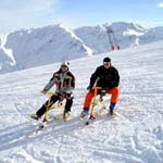 Grauer Bar 14