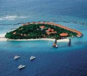 Vivanta By Taj - Coral Reef