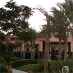 Radisson SAS 15