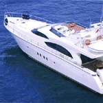 Dominator 1