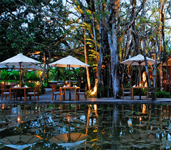 The Sarojin Ficus Retaurant