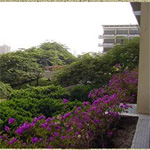Oberoi Hotel Aswan 11