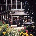 Copthorne Tara