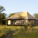 Sayari Camp