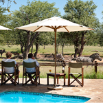 Ongava Tented Camp