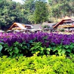 Krisdadoi Chiangmai Aprime Resort