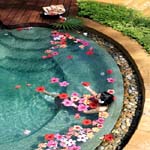 Pimalai Resort & Spa