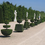 Versailles