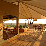 Serengeti Bushtops
