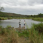 Pafuri Camp