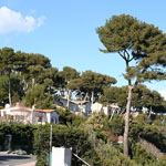 Juan Les Pins