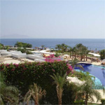 The Ritz Carlton 9