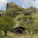 Mbuzi Mawe Serena