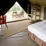 Kalahari Plains Camp