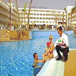 Best Oasis Tropical