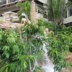 Garden Cliff Resort & Spa
