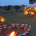 Serengeti Bushtops