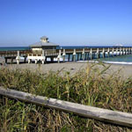 Palm Beach