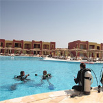 Tulip Resort 1