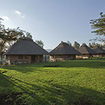 Exploreans Ngorongoro