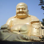 25