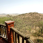 Serengeti Serena Safari