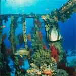 Hilton Coral Resort 9