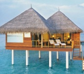 Vivanta By Taj - Coral Reef