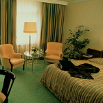 Superior Room1