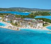Secrets Wild Orchid