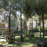 Club Zigana