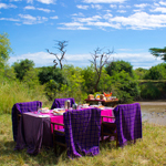 Grumeti River Camp