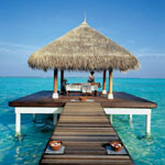 Taj Exotica