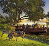 Livingstone