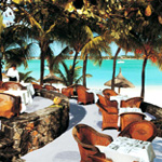 Royal Palm