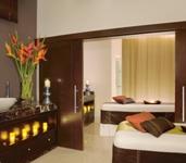 Secrets Wild Orchid