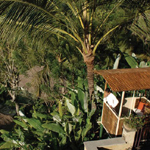 Ubud Hanging