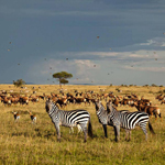 Kenya