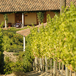 La Casona at Matetic