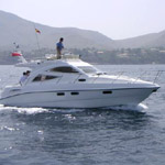 Sealine 1